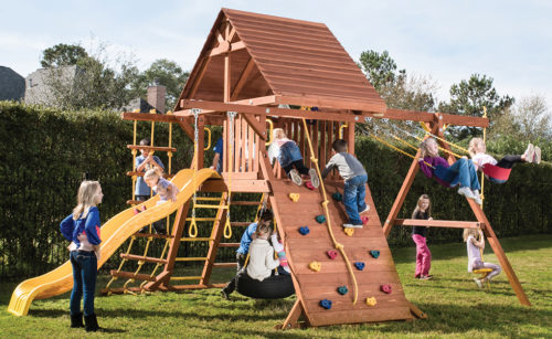 Parrot Island Playcenter with Wood Roof
