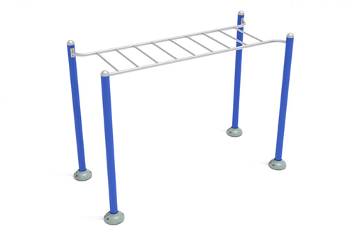 Single Station Horizontal Ladder
